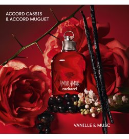 Amor Amor - Eau de Toilette Amor Amor - Eau de Toilette